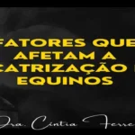 Baixar Grátis – Fatores que Afetam a Cicatrização em Equinos
