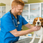 Baixar Grátis – Clinica Médica de Pequenos Animais