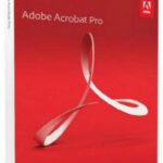 Adobe Acrobat Pro DC 2024.004.20220 + Portable